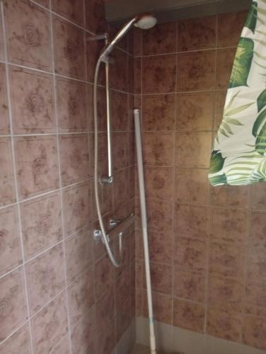 a shower with a shower head in a bathroom at Vesterhavet in Nørre Vorupør
