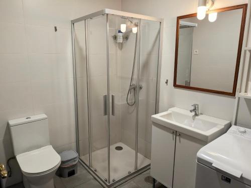 a bathroom with a shower and a toilet and a sink at Apartamento Casa Balina in Dúrcal