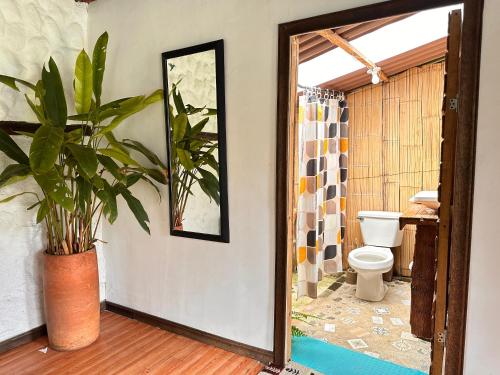 a bathroom with a toilet and a potted plant at Padua Finca Hotel in Chachagüí