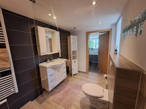 a bathroom with a toilet and a sink at NaturGenuss Wittgenstein in Bad Laasphe