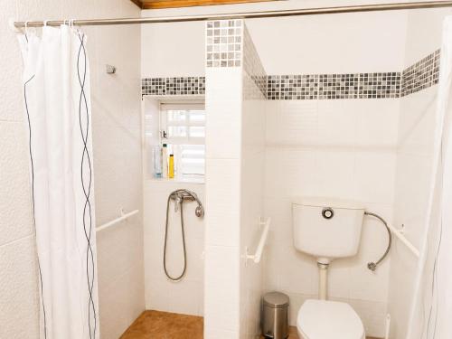 a bathroom with a toilet and a shower at Adega do Carlos Pinheiro in São Roque do Pico