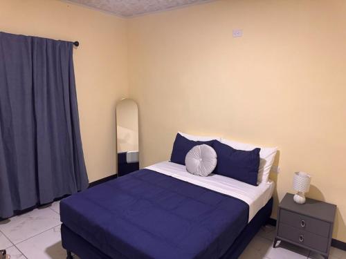 a bedroom with a bed with blue sheets and a mirror at The Cozy House in Estelí