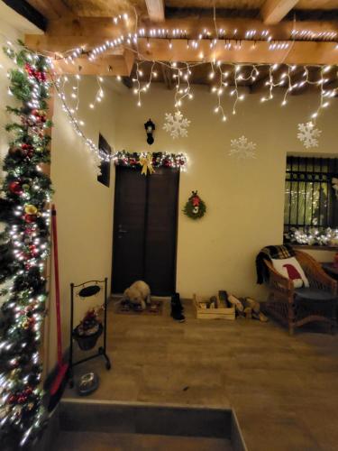 a living room with a christmas tree and christmas lights at Deda Mrazova kućica in Knić