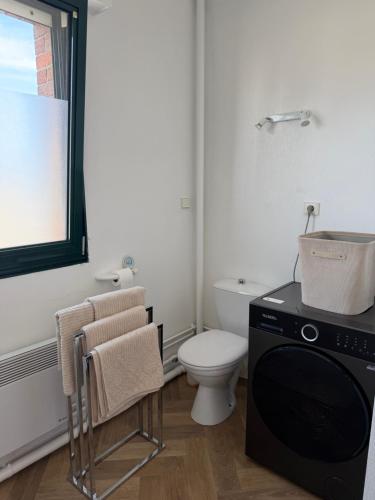 a bathroom with a toilet and a washing machine at Le Cosy in Dunkerque