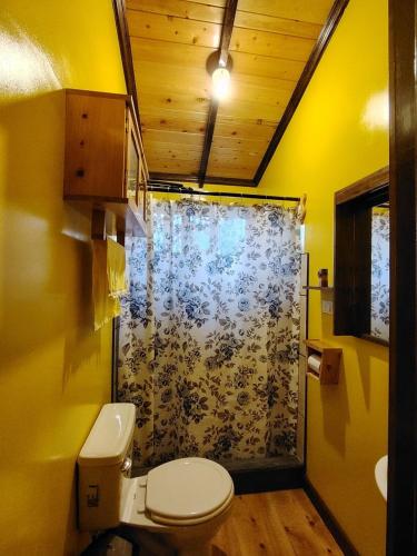 a bathroom with a toilet and a shower at Cabaña Santa Rosa in Tecpán Guatemala