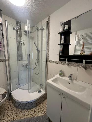 a bathroom with a shower and a sink and a toilet at Ferienwohnung Zum Wäldchen in Haiger