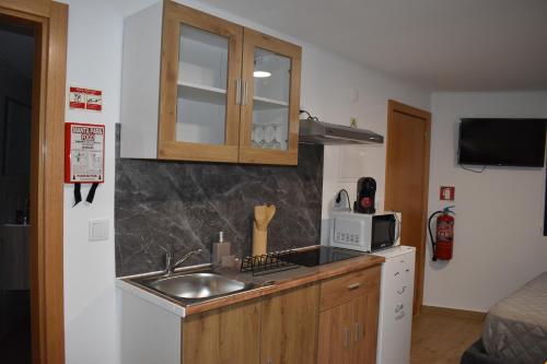 a small kitchen with a sink and a microwave at Casa dos Avós da Lapa in Lapa dos Dinheiros