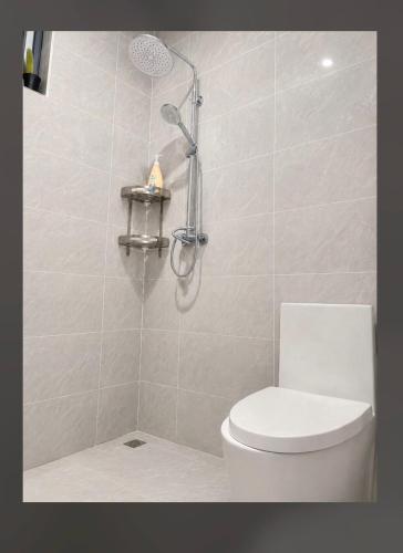 a bathroom with a shower and a toilet in it at Collins unique apartments in Ruaka