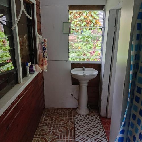 a bathroom with a sink and a window at Pelly Homestay Adventure in Taveuni