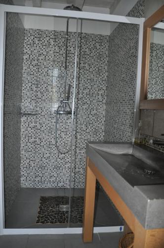 a bathroom with a shower with a sink and a shower at Chambres D'Hôtes Les Terrasses de Cailla in Cailla