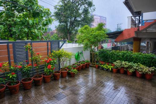 a bunch of potted plants are lined up against a fence at Hridyas in Ernakulam