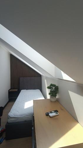 a bedroom with a bed and a table with a plant at Tomberg 