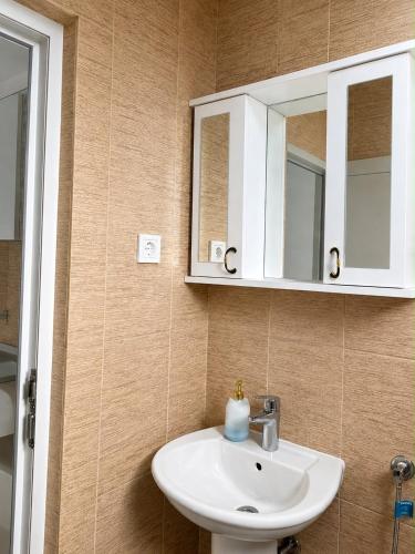 a bathroom with a sink and a mirror at Guest House Ulnika in Vusanje