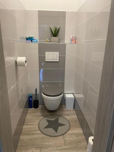 a bathroom with a toilet with a star on the floor at Apartmán u Fryšávky in Fryšava