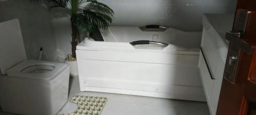 a bathroom with a sink and a toilet and a plant at Ashland Gardens in Vumba