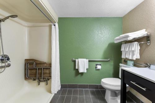 a green bathroom with a toilet and a sink at Sleep Inn Nampa near Idaho Center in Nampa