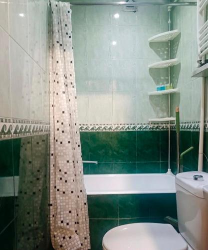 a green bathroom with a shower and a toilet at Cozy Family Apartment in Tbilisi City