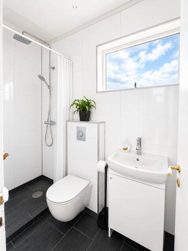 a white bathroom with a toilet and a sink at Hestaland Riverside Cottage in Staðarhús