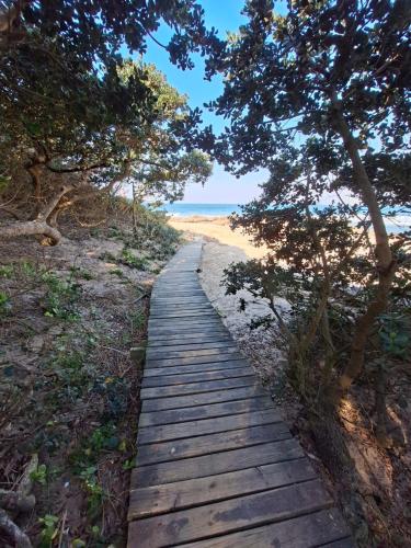 a wooden path leading to a beach with trees at Seven Sardines Beach House in Port Edward