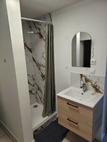 a bathroom with a sink and a shower at Studio-Cosy 17-18-19 Centre Bourbourg in Bourbourg