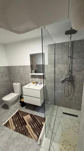 a bathroom with a shower and a toilet and a sink at Cabana Dara in Cumpăna