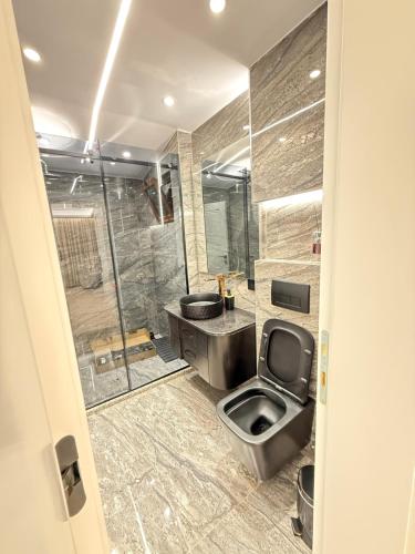 a bathroom with a shower and a toilet and a sink at Old Town Inn room 9 in Pogradec