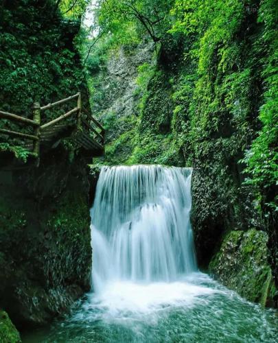 a waterfall in the middle of a forest at Jade Peak Hot Spring Villa in Dujiangyan