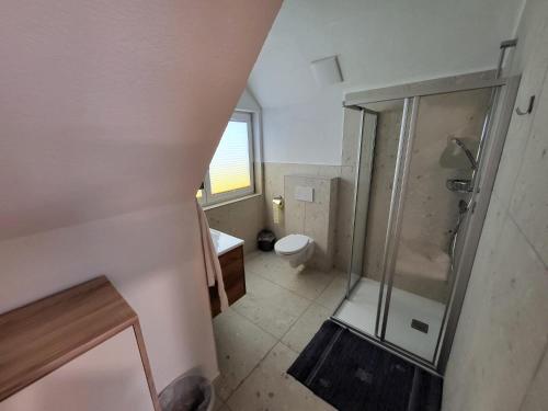 a bathroom with a shower and a toilet at Ferienhaus Vitabene in Hollenstein an der Ybbs