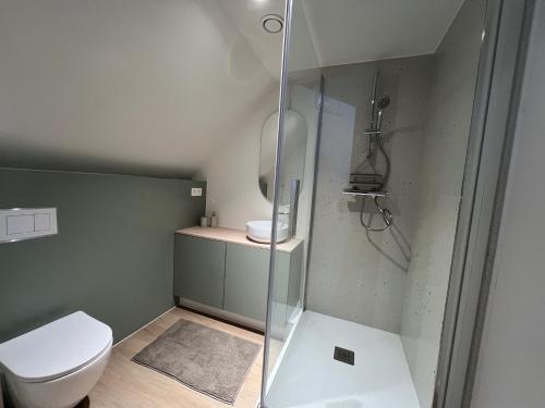 a bathroom with a shower and a toilet at Apartment for 4 guests in Bree in Bree