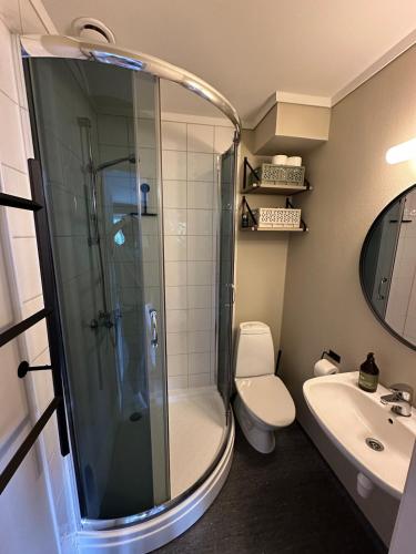 a bathroom with a shower and a toilet and a sink at Oppdal Alpintun in Oppdal