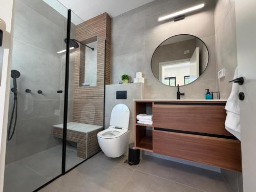 a bathroom with a toilet and a sink and a mirror at וילה יובל in Yuval