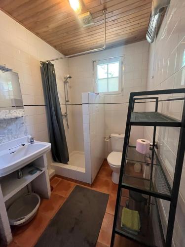 a bathroom with a shower and a sink and a toilet at Petit Crecy 