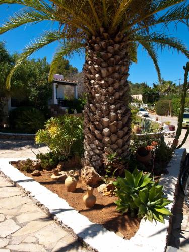 Κήπος έξω από το Hotel Club Can Jordi