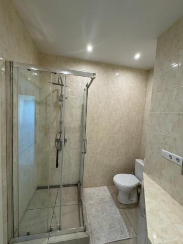 a bathroom with a shower and a toilet at Panorama Apartment in Lviv