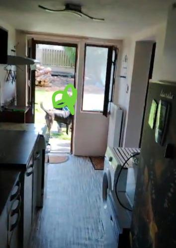 a dog walking into a kitchen with the door open at Vejminek u hospodářství Obora u Doks in Doksy