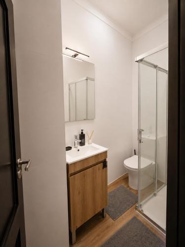 Oporto Breiner Terrace Apartment