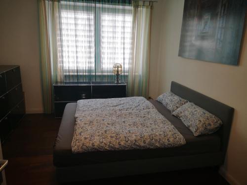 a bedroom with a bed in front of a window at Centrally located spacious flat close to Rhine in Bonn