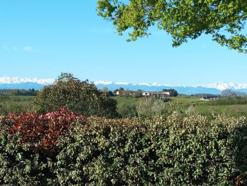 a field of flowers with mountains in the background at Lahitte in Saint-Frajou
