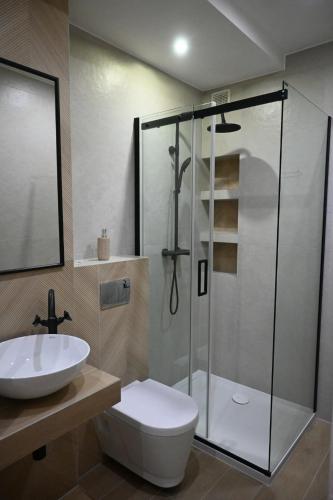 a bathroom with a shower and a toilet and a sink at Ustrzycki Zakątek in Ustrzyki Dolne