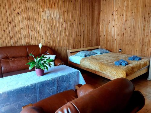 a living room with two beds and a couch at Ustrzycki Zakątek in Ustrzyki Dolne