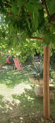 agréables chambres d'hôtes près du centre ville avec jardin