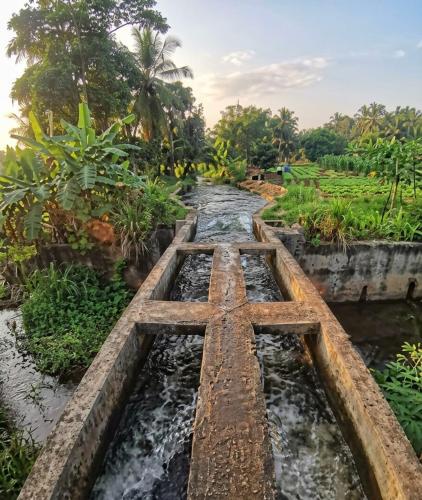 a bridge over a river in a field at Freedom Rest Rooms in Anuradhapura