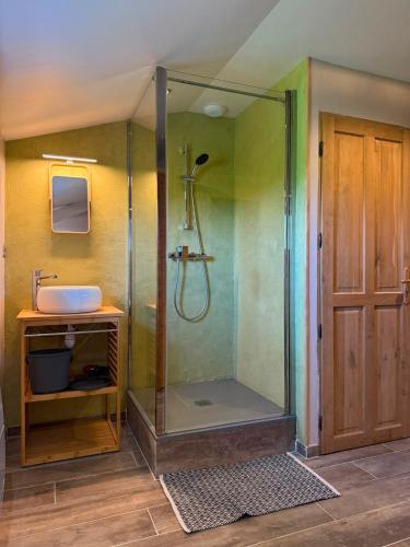 a bathroom with a shower and a sink at Odyssée - Chambre d'hôtes avec sauna privatifs, spa et filet suspendu in Zeggers-Cappel