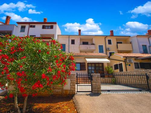 Apartment Puzar 389