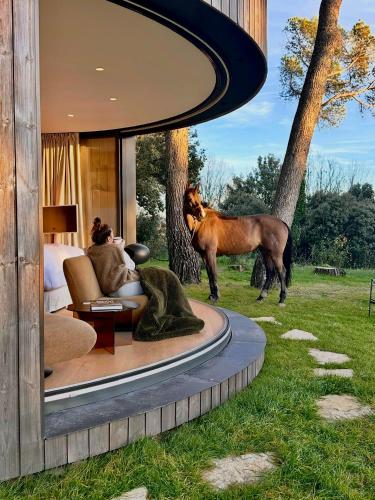 a house with a horse statue standing next to a bedroom at Haras de Castellane in Pertuis
