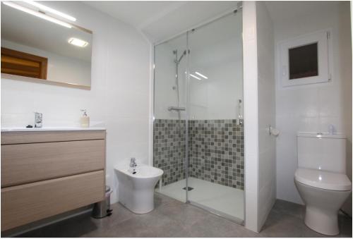 een badkamer met een douche, een toilet en een wastafel bij Casa Rural Xixa Landetxea in Miranda de Arga