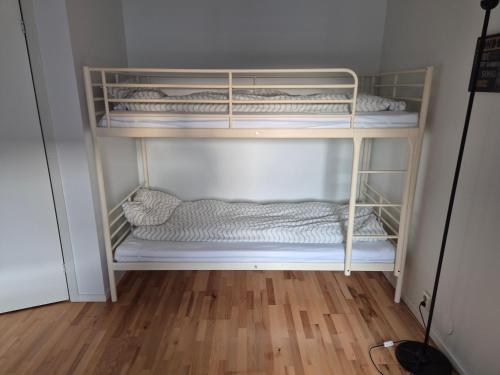 two bunk beds in a room with a wooden floor at Den fräscha lägenheten in Ängelholm