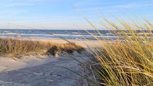 a sandy beach with a view of the ocean at Sonnensegler - Bade- & Saunawelt täglich inklusive in Baabe