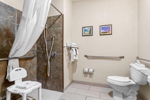 a bathroom with a shower and a toilet at Comfort Inn & Suites Midtown in Ruidoso