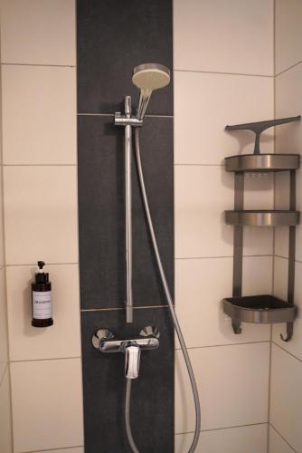 a shower with a shower head in a bathroom at PrimeBnb Am Marktplatz in Bad Hersfeld